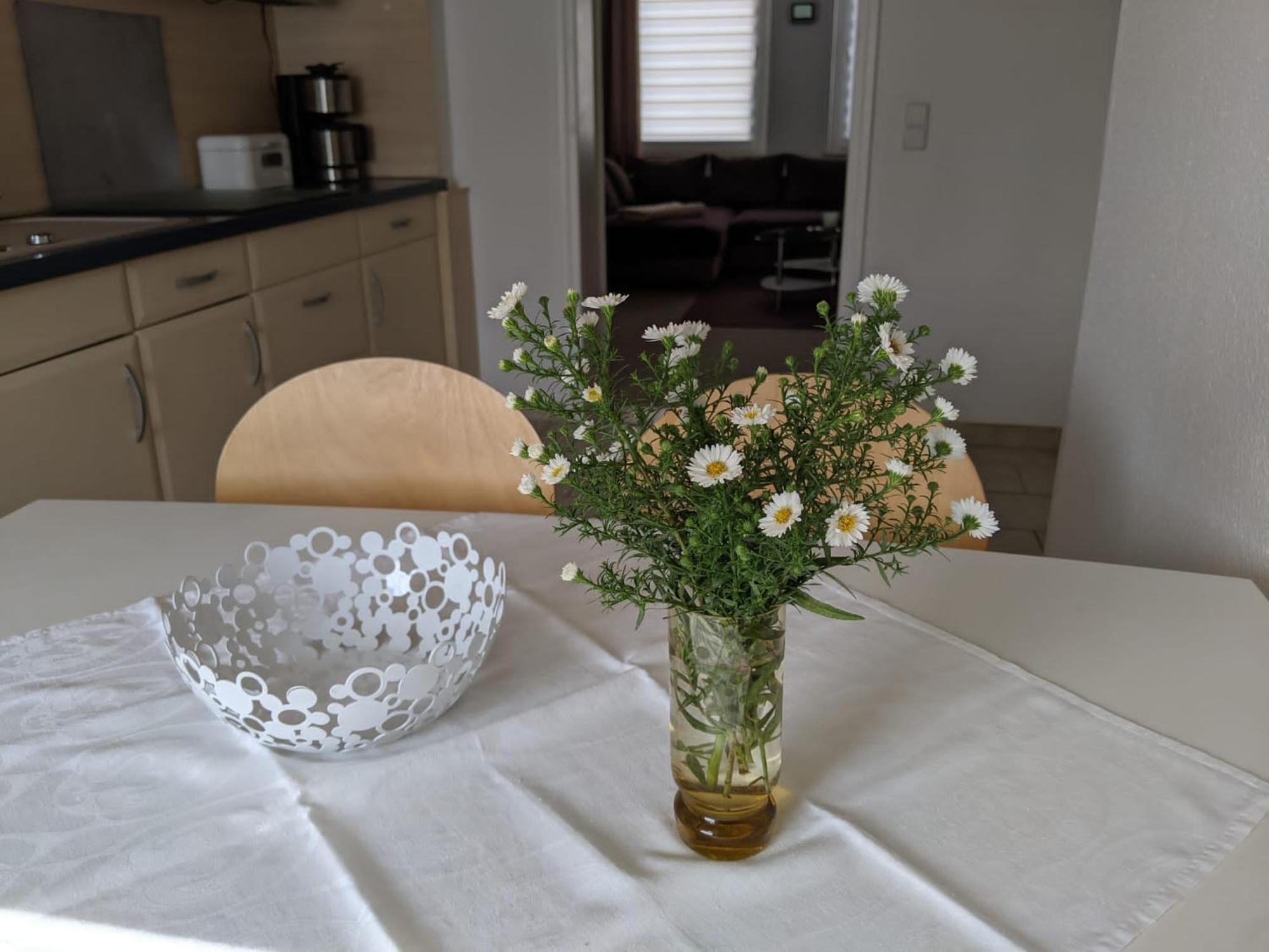 Ferienwohnung Am Ueckerpark Ueckermünde Εξωτερικό φωτογραφία